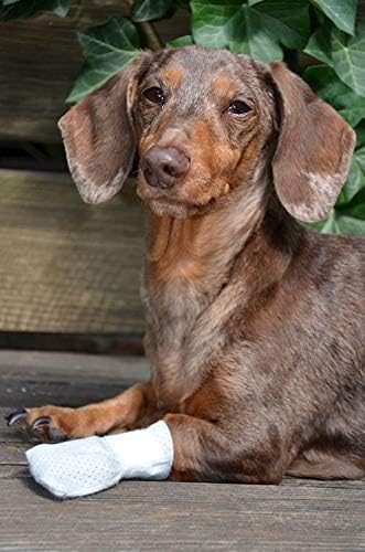 Medimitt Paw Bandages for Dogs, Cats and Pets – Stretchy Medical Booties, First Aid for Paws – Non Slip, Non Adhesive, Breathable, Disposable, Washable, Adjustable Strap, 12 Pack (Small)