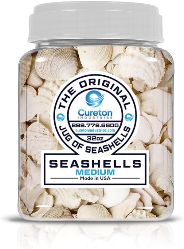 32 oz Jug of Natural Medium Seashells, 1½-3 inch Size, for Indoor Outdoor Decor, vase Filler, Candles, Art, Crafts, Aquariums, Fairy Gardens, planters, tablescapes, terrariums