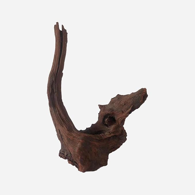 LYPHARD AQUARIUMS Natural Driftwood for Aquarium Decor, L12.2×W7.09×H18.5 Inches Large Drift Wood Decorations for Reptile Hide, Fish Tank, Optional Shapes