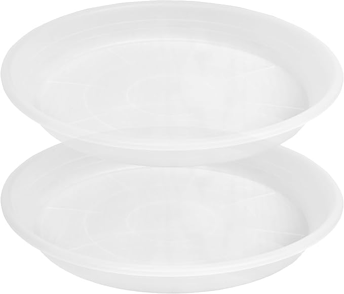 Plant Saucer - 2 Pack 22 Inch Extra Large Durable Plastic Plant Trays Clear, Extra-Deep 3.4" Plant Tray, Bird Bath Bowls for Garden