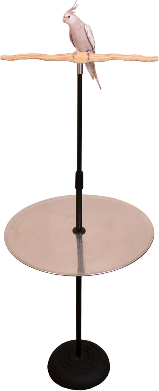 Parrot Training Perch Stand with Potty Tray (T Perch, Small)