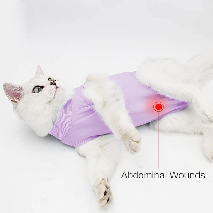 Cat Surgery Recovery Suit Cat Onesie for Cats After Surgery Spay Surgical Abdominal Wound Skin Diseases E-Collar Alternative Wear (Purple-L)