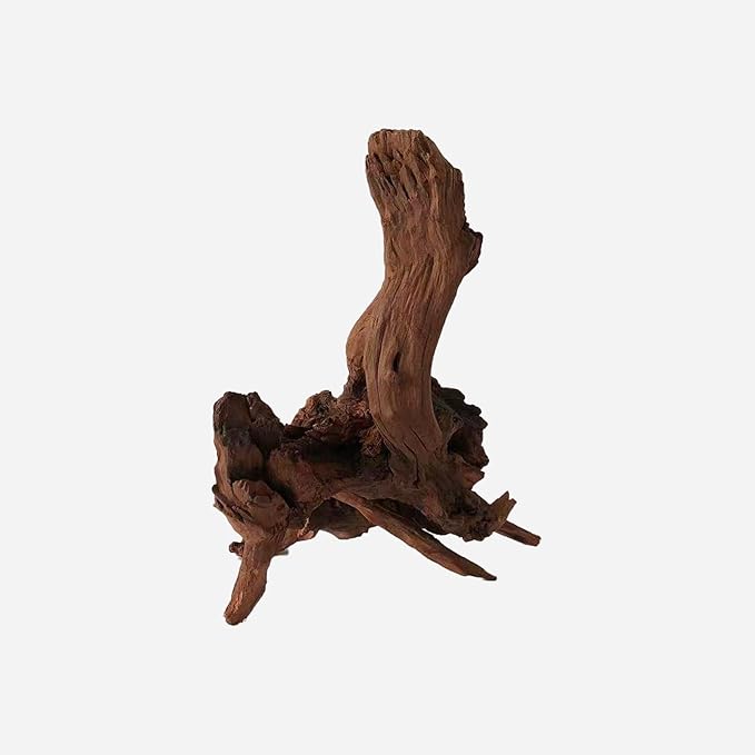 LYPHARD AQUARIUMS Natural Driftwood for Aquarium Decor, L11.81×W11.02×H12.6 Inches Large Drift Wood Decorations for Reptile Hide, Fish Tank, Optional Shapes