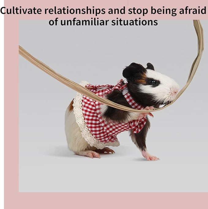 Guinea Pig, Ferret, Hamster, Rat Plaid Harness and Leash Set, Adjustable No Pulling Walking Vest, Large, Blue