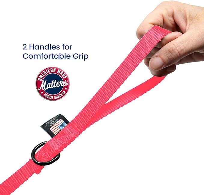 Dog Leash for Teacup Toy Minature and Small Dogs Primary & Traffic Handle The Bulk Multiple Sizes & Colors 5/8” Width Nylon Proudly Made in The USA (Hot Pink, 10 Foot)