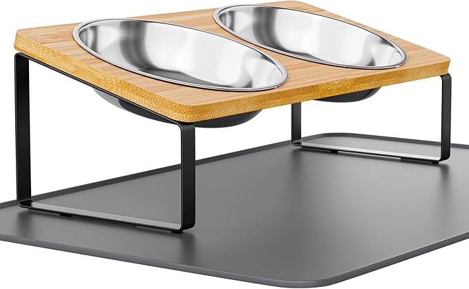 Elevated Whisker Friendly Cat Bowls, 15 Tilted Stand Anti Vomiting Raised Dishes for Food and Water, Stainless Steel Bowls for Cats and Puppy