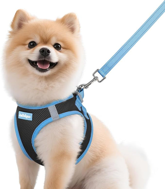 rabbitgoo Dog Harness Small Sized and Leash Set, Step-in Breathable Pet Harness, Soft Walking Reflective Puppy Vest for Small Dogs, Black & Light Blue, M