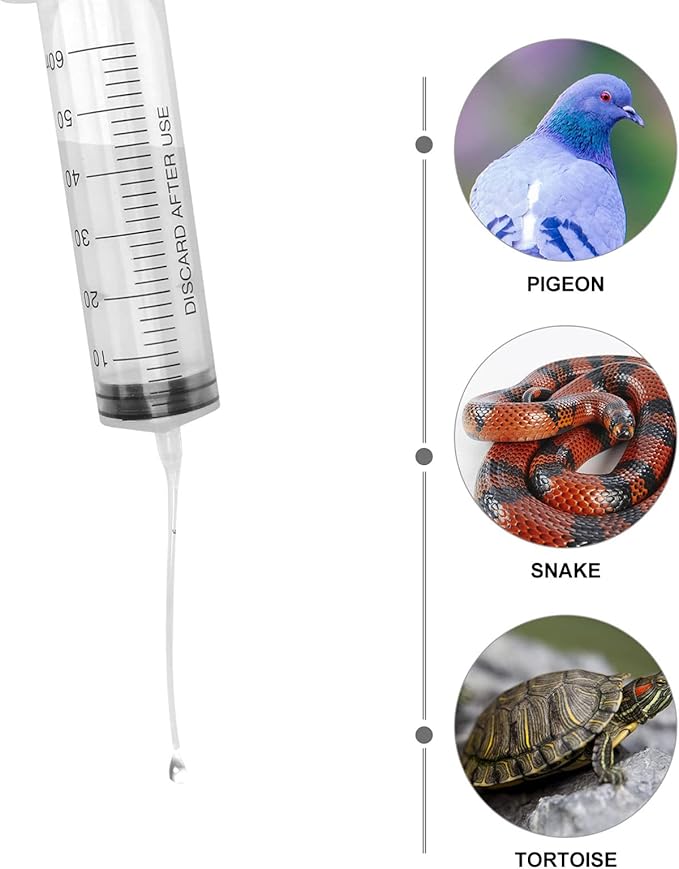 Balacoo 1 Set Pet Parrot Milk Feeding Syringe with Tubes Baby Pigeon Turtle-Dove Feeding Syringe Puppy Medicine Feeder Tablet Medical Feeding Tool for Small Animals