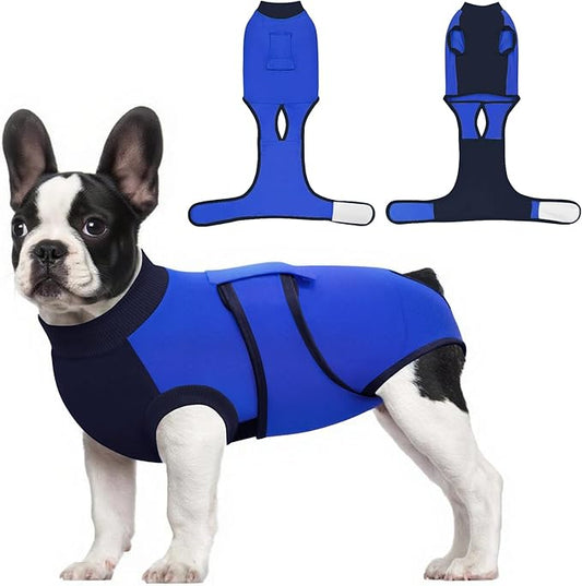 Idepet Dog Recovery Suit Female,Dogs Onesie Suit Surgery Male Breathable Pet Bodysuit for Spay Neuter E-Collar & Cone Alternative Surgical Suit Puppy Abdominal Anti Licking Wounds Shirt (Blue, XS)