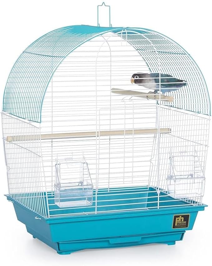 Rustic Retreat Top Bird Cage with Durable Metal Construction, Spacious Interior, and Convenient Top Access Teal/Dome Top
