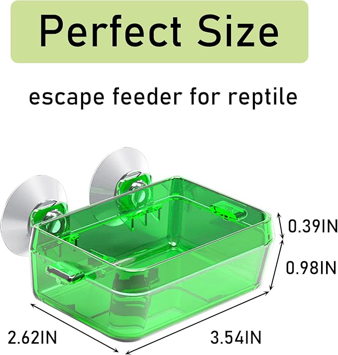 Tfwadmx 2 Pcs Reptile Feeder Chameleon Bowl Water Dish with Suction Cup Gecko Worm Feeder Anti-Escape Chameleon Supplies Accessories for Iguana Lizard Bearded Dragon Snakes （Green,S）