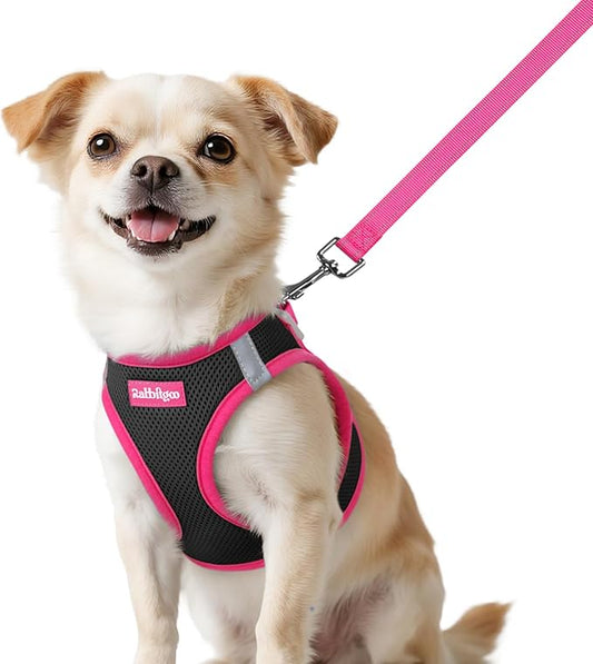 rabbitgoo Dog Harness Small Sized and Leash Set, Step-in Breathable Pet Harness, Soft Walking Reflective Puppy Vest for Small Dogs, Black & Rose Red, XXS