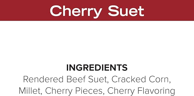 Blue Seal Cherry Suet Cakes for Wild Birds - No Mess Suet Feed, Food for Woodpeckers, Cardinals, Siskins, Sparrows & More - 11oz Suet Feeder, Bird Seed Cakes (Pack of 12)
