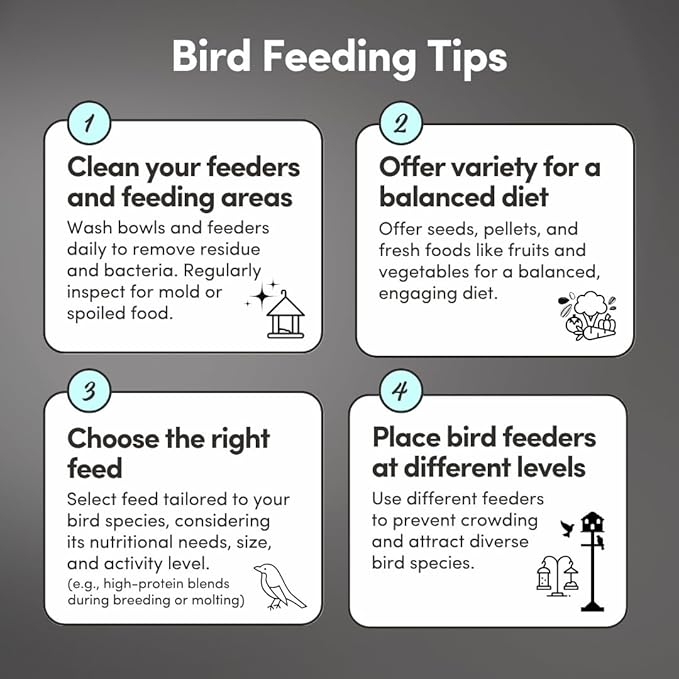 Mycelium Dove Plus Wild Bird Food (5 LB Bag) | Premium Bird Seed Mix for Doves, Pigeons & Ground-Feeding Birds | Supports Healthy Digestion | Organic, Non-GMO & Made in USA