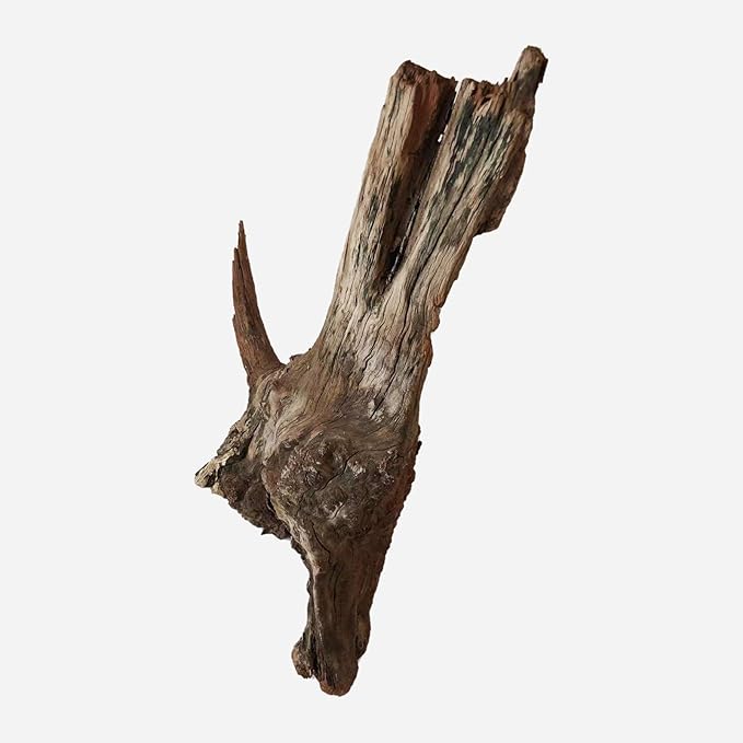 LYPHARD AQUARIUMS Natural Driftwood for Aquarium Decor, L19.69×W8.27×H17.72 Inches Large Drift Wood Decorations for Reptile Hide, Fish Tank, Optional Shapes