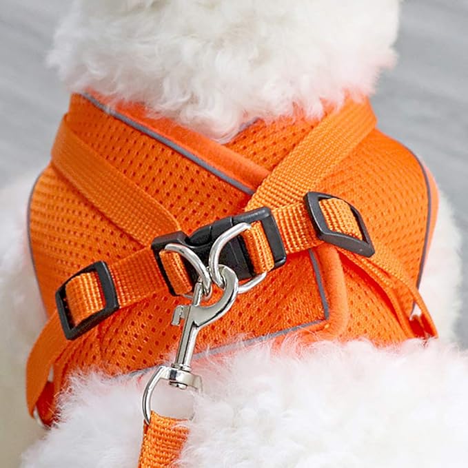 Puppy Harness and Leash Set, Escape Proof Dog Cat Vest Harness for Cats Small Medium Dogs, Adjustable Reflective Step in Harness,Soft Mesh Comfort Fit No Pull No Choke (Small(11.8"-13.3"), Orange)
