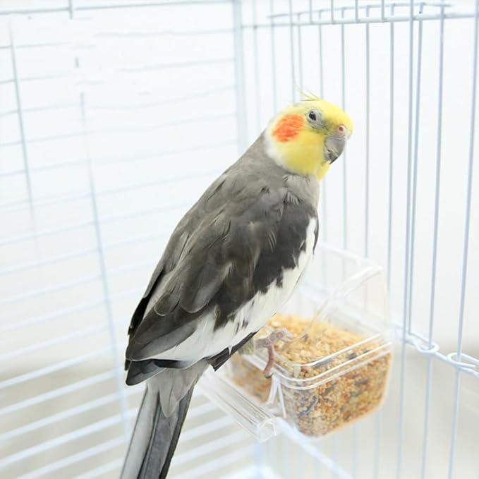 2 Pack Bird Feeder Bowl Clear Water Container Bird Cage Dish No Mess Parakeet Hanging Food Cup for Cage Plastic Parakeet Feeder with Perch