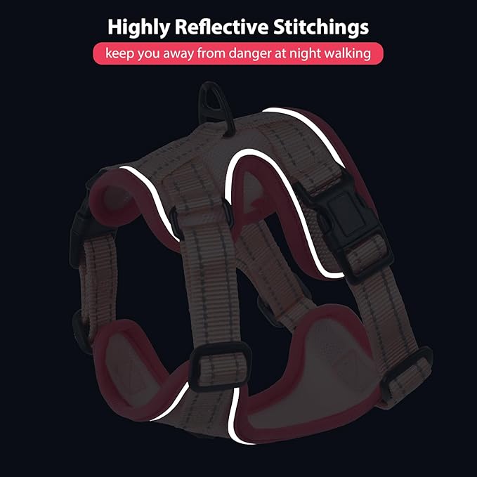 Rttochfy Cat Harness and Leash Set, Adjustable and Reflective Cat Vest, Escape Proof Kitten Harness, Easy to Put on with 3 Buckles for Cats Walking and Traveling (Pink, M)