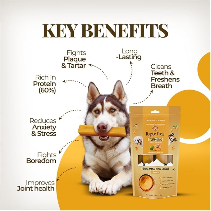 Dogsee Himalayan Yak Cheese Dog Chews with Turmeric/Curcumin (Medium - 6Chew) | Long Lasting | Anti-inflammatory | Fights Plaque and Tartar | Odorless Dog Treats