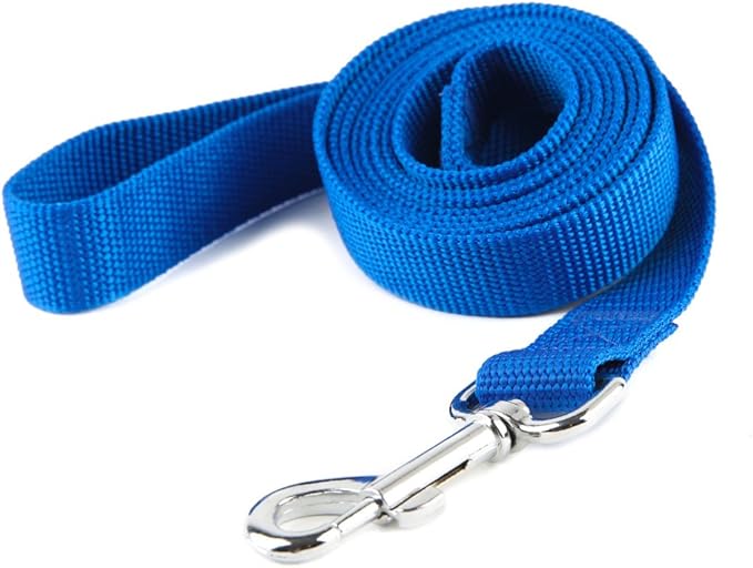 Nylon Dog Training Leash, Traction Rope, 4Ft /5 Foot /6 Feet Long, 5/8 inch 3/4 Inch 1 Inch Wide, for Small and Medium Dogs (1'' x 12 FT, Blue)