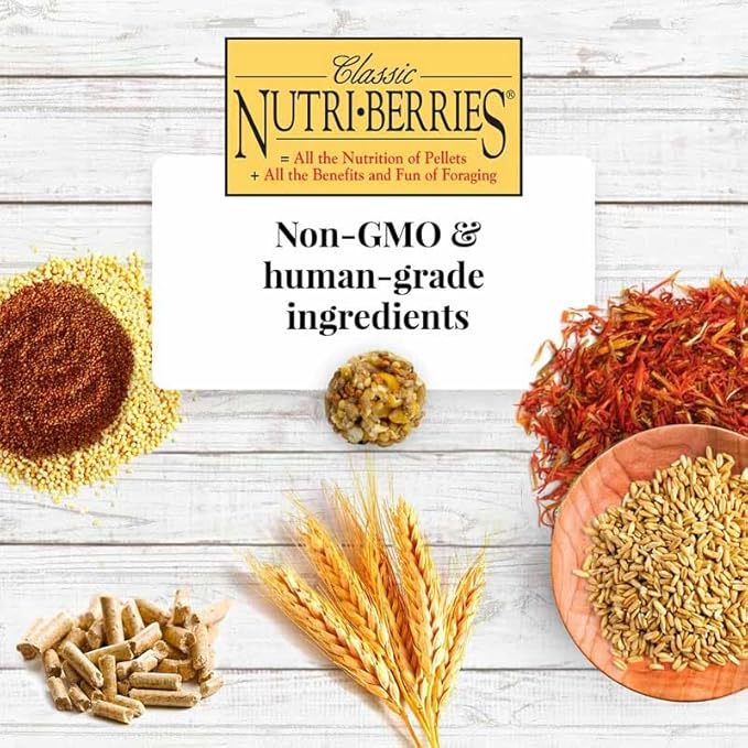 LAFEBER'S Classic Nutri-Berries Pet Bird Food, Made with Non-GMO and Human-Grade Ingredients, for Macaws and Cockatoos (10 oz Pack of 2)