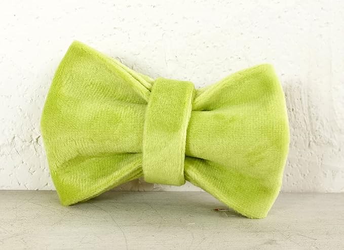 Cat Collar Personalized with Name Engraved and Bell, Customized Velvet Collars for Puppy Kittens (Moss Green, L)