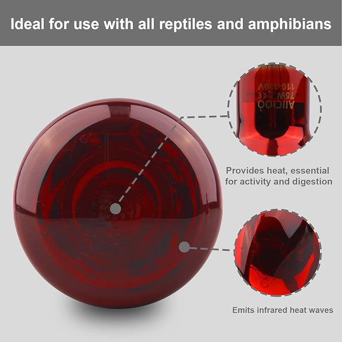 Aiicioo Reptile Red Night Light Bulb - 75W Reptile Heat Lamp Bulb Infrared Basking Spot Lamp for Bearded Dragon Lizard Turtle Hermit Crab Leopard Gecko Snake Chameleon Tank