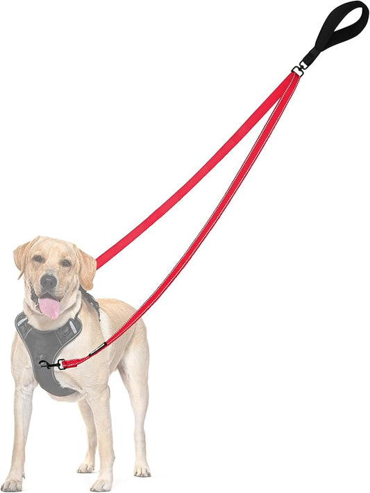 PetBonus Two Point Control Dog Leash, Works with No Pull Harnesses, No Tangle Dog Training Leashes, No Pull Padded and Reflective Walking Lead,Converts to Single Leash for Medium Large Dogs (Red)
