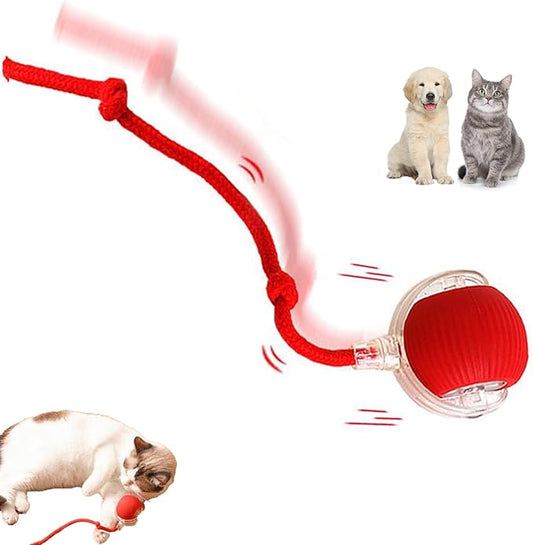 Interactive Cat Toy Ball for Indoor Cats - 3-Speed Smart Rolling Ball with Flashing Lights, USB Rechargeable Automatic Motion Kitten Toys for Bored Adult Cats & Playful Kittens