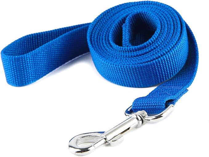 Nylon Dog Training Leash, Traction Rope, 4/5/6 Feet Long, 3/4 Inch 1 Inch Wide, for Small and Medium Dogs (1'' x 4 FT, Blue)