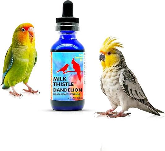 Morning Bird Milk Thistle & Dandelion Extract 1 fl oz - Organic Bird Supplement for Optimal Health – Support Liver Heath & Promotes Detox - Suitable for All Birds Species