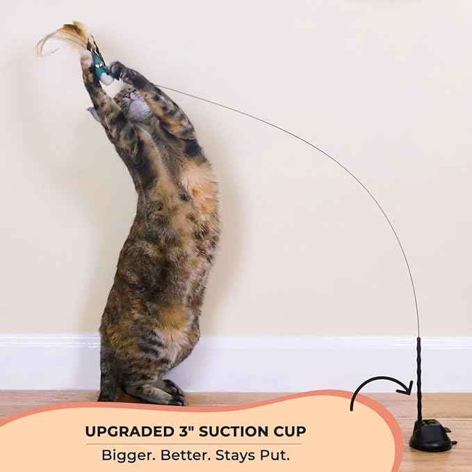 Whiskertons Interactive Bird Simulation Cat Toy Set, Interactive Cat Toys for Indoor Cats, Cat Feather Toy, Self-Holding Suction Cup, 5 Catnip Birds, Feathers, Bells (Catnip Bird Toy Set with 5 Birds)