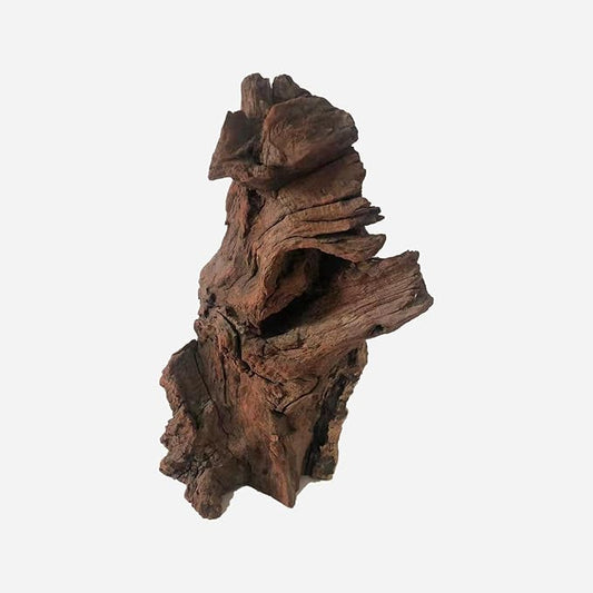 LYPHARD AQUARIUMS Natural Driftwood for Aquarium Decor, L9.84×W5.91×H14.17 Inches Large Drift Wood Decorations for Reptile Hide, Fish Tank, Optional Shapes