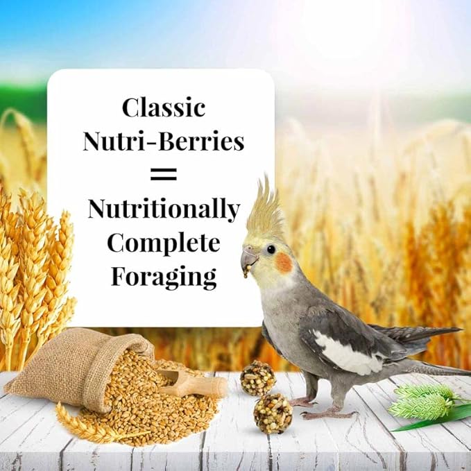 LAFEBER'S Classic Nutri-Berries Pet Bird Food, Made with Non-GMO and Human-Grade Ingredients, for Cockatiels (10 oz Pack of 2)