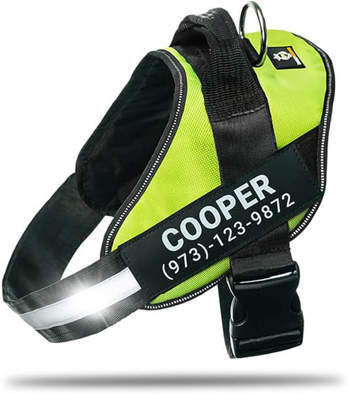 Personalized No-Pull Dog Harness with Name Patch, Adjustable, Reflective, Padded, Heavy Duty Pet Vest to Prevent Tugging, Pulling, or Choking, Training and Walking, Green, 2XL