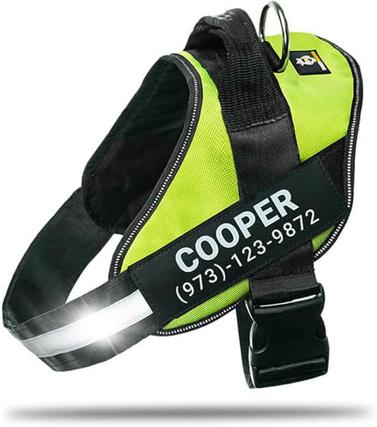 Personalized No-Pull Dog Harness with Name Patch, Adjustable, Reflective, Padded, Heavy Duty Pet Vest to Prevent Tugging, Pulling, or Choking, Training and Walking, Green, 2XL