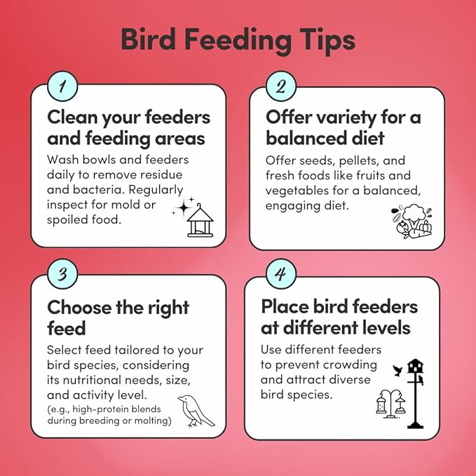 Mycelium Organic Macaw Plus Bird Seed Mix (5 LBS) | Premium Bird Food for Macaws & Large Parrots | High-Protein & Vitamin-Fortified Formula | Skin & Feather Support | Non-GMO, No Fillers, USA Made