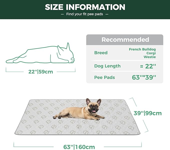 FXW Washable Pee Pads for Dogs, Puppy Pads with Super Absorbent, Specifically Designed for FXW Rollick/Homeplus 24inch 6 Panels Dog Playpen, 63" × 39" Rectangle, Khaki, 1 Pack
