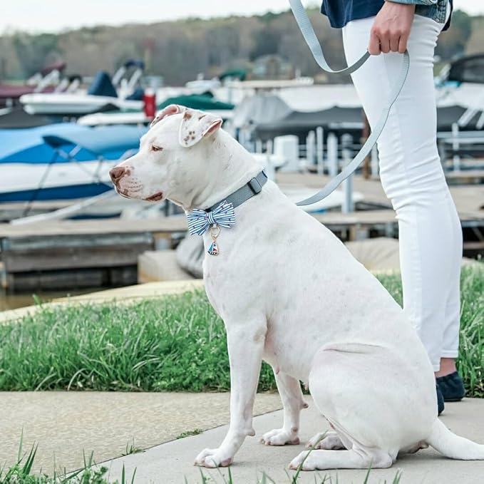 Blueberry Pet Essentials Flint Gray Dog Leash for Small -5' * 5/8" Dogs | Heavy Duty Nylon Lead | Lightweight Puppy & Cat Leash for Walking & Training