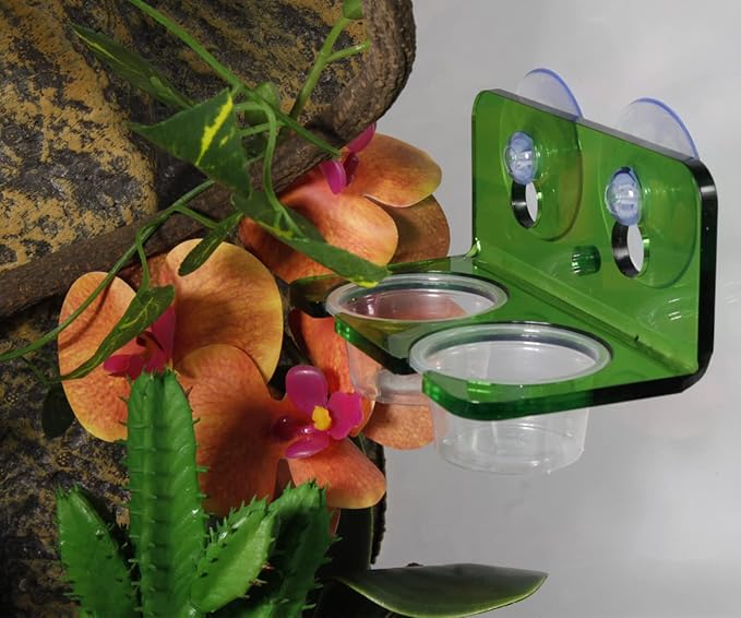 1oz Crested Gecko Food Cups, 100Pcs Reptile Plastic Feeding Dish