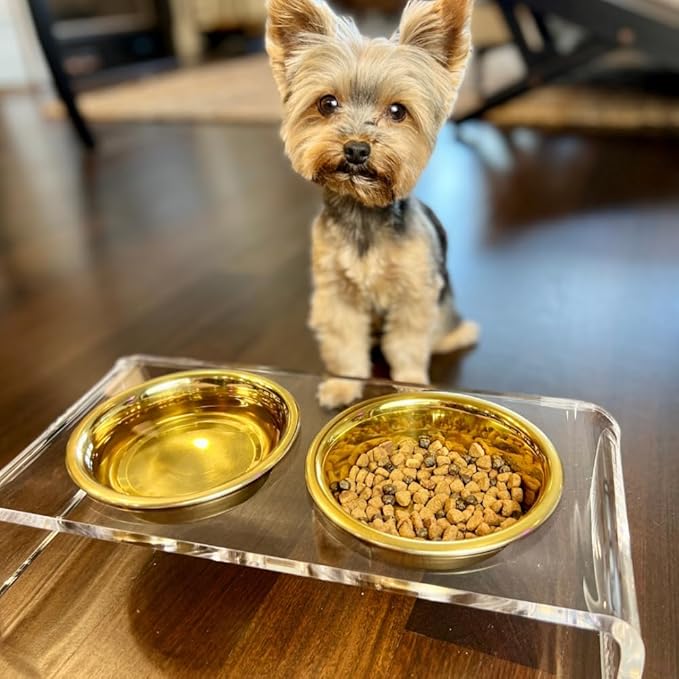 Hiddin Double Elevated Dog Bowl Stand for Small or Medium Dogs, All Breeds, Clear Acrylic 3.5 Inch Raised Dog Bowl Stand with Two Gold Stainless Steel Bowls for Food and Water - 3.5 Cups Each Dish