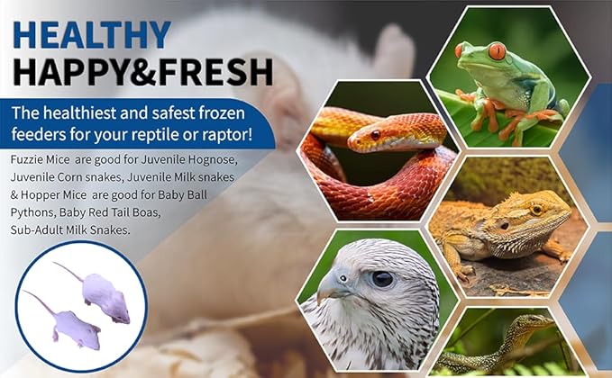 MIceDirect Frozen Mice Combo Pack of 20 Fuzzie & Hopper Feeder Mice – 10 Fuzzies & 10 Hoppers - Food for Corn Snakes, Ball Pythons, & Pet Reptiles - Snake Feed Supplies