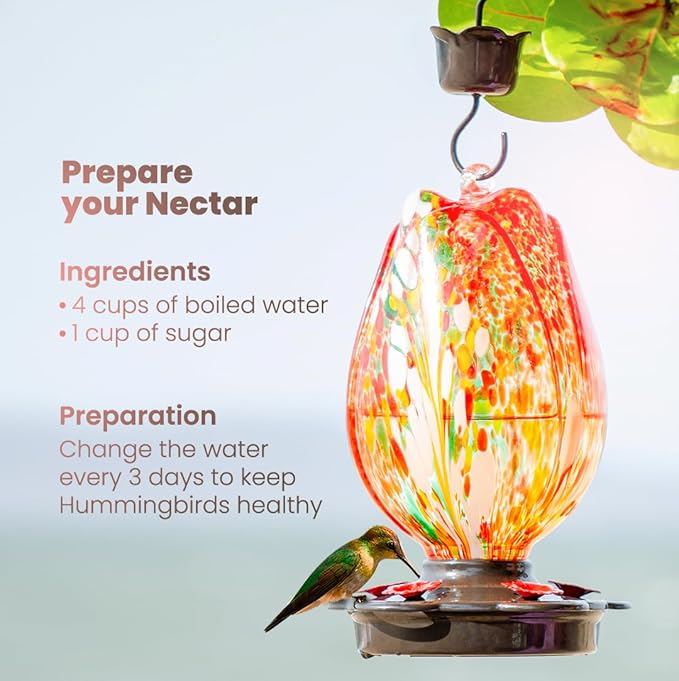 Tulip Shaped Glass Hummingbird Feeders for Outdoors - 36 Oz Hummingbird Feeder - Humming Bird feeders for Outdoors Hanging