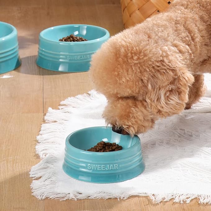 Sweejar Gradient Dog Bowl, Ceramic Dog Food Dish for Puppy and Kitten, Porcelain Pet Bowl for Food and Water 8 oz (Gradient Blue)