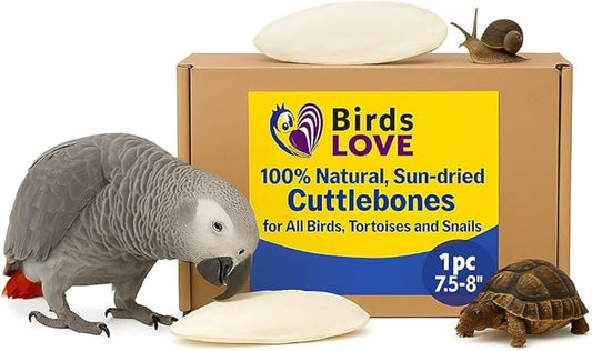 Birds LOVE Natural Cuttlebone for Birds & Reptiles – 100% Pure Sun-Dried Calcium Supplement – Supports Beak, Bone & Shell Strength – Safe Daily Use - 1 Pack with Holder, Size 7.5 to 8"