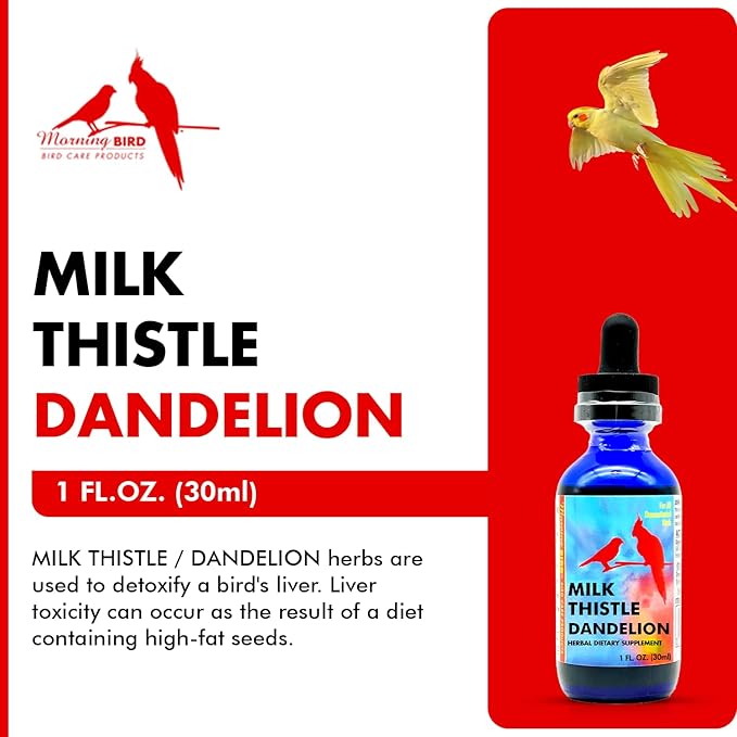 Morning Bird Milk Thistle & Dandelion Extract 1 fl oz - Organic Bird Supplement for Optimal Health – Support Liver Heath & Promotes Detox - Suitable for All Birds Species