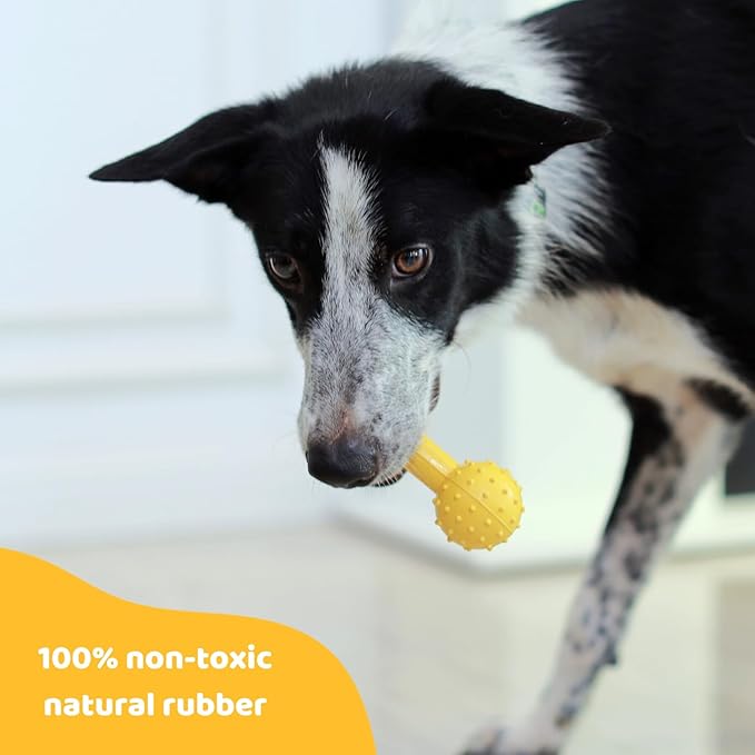 Pup's Pick Dog Chew Toy with Bell - Squeaky Chew Toys for Aggressive Chewers, Natural Rubber Puppy Chew Toys for Teething, Medium and Small Breeds Indestructible Dog Toy, Teething Toys for Puppies