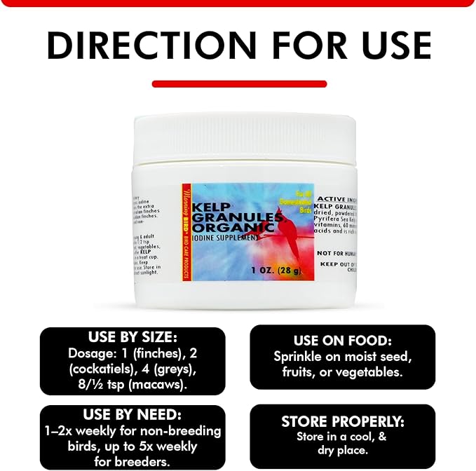 Morning Bird Kelp Granules 1 Oz – Iodine Supplement for Birds – Supports Feather Growth, Molting & Metabolism – Rich in Amino Acids, Trace Minerals & Natural Vitamins – Clean Nutrition for All Birds