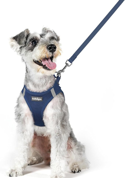 rabbitgoo Dog Harness Small Sized and Leash Set, Step in Soft Light Puppy Vest, Breathable Mesh Pet Harness, Reflective for Outdoor Safe Walking, Navy Blue XL