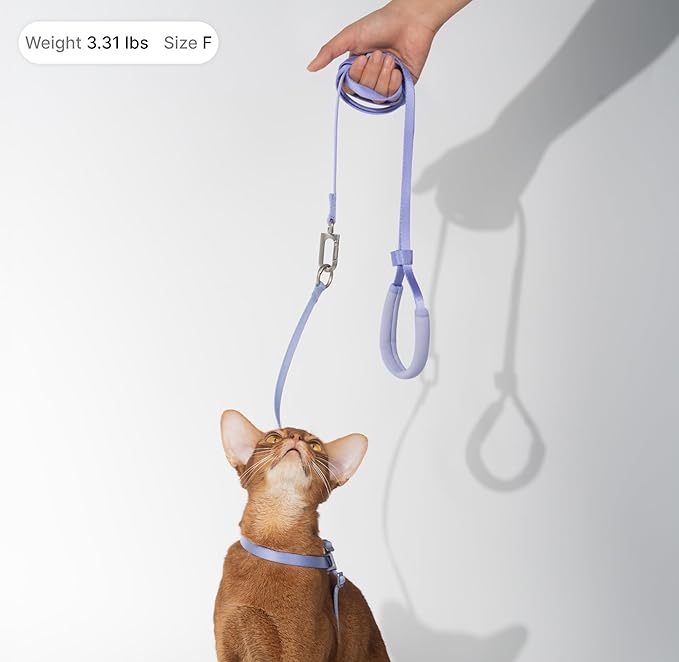 Sierra Blue M Cat Harness and Leash Set, Lightweight Escape Proof, Adjustable, Walking Training